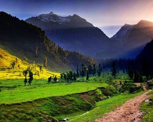 Heaven On Earth Kashmir Family Trip 5 Days