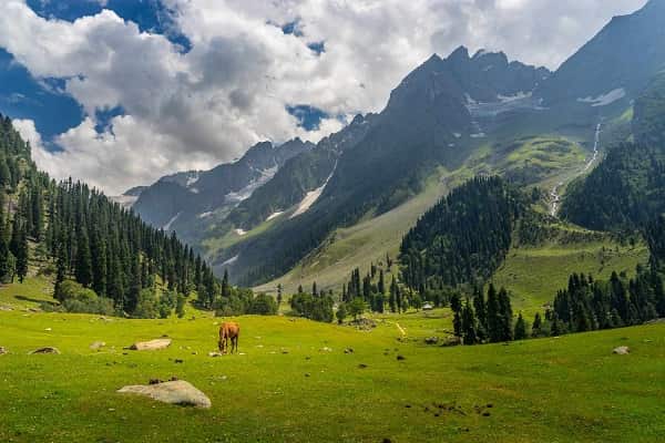 kashmir tour package from chennai