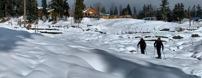 Gulmarg Family Packages